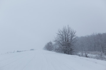 Fototapeta na wymiar Winter landscape. Road through the blizzard. Russia