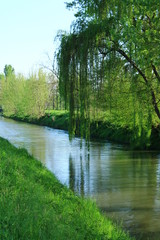 paesaggi e tartarughe