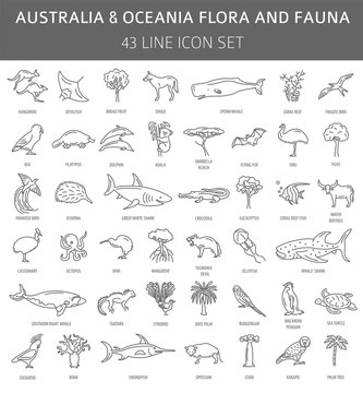 Flat Australia And Oceania Flora And Fauna  Elements. Animals, Birds And Sea Life Simple Line Icon Set