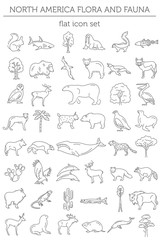 Flat North America flora and fauna  elements. Animals, birds and sea life simple line icon set