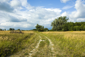 Country road and wild meadow