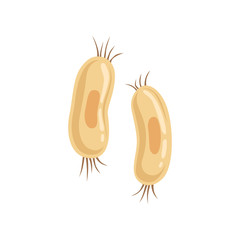 Structure of spirillum with flagella on both ends. Microorganism concept. Flat vector design element for medical flyer, poster or infographic