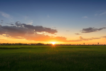 Naklejka premium Stunning evening sunset sky
