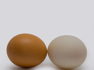 (Closeup) Duck eggs and Chicken eggs.