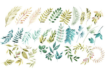 Watercolor floral set. Colorful green floral collection with leaves, drawing watercolor. Set of floral elements for your compositions.