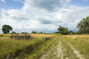 Fototapeta premium Wild meadow and road