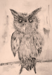 Owl in sepia tones on a branch. The dabbing technique near the edges gives a soft focus effect due to the altered surface roughness of the paper.