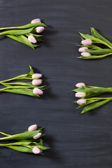 Few tulips flowers on dark chalcboard surface. Bouquet on a blur abstract background with copy space.