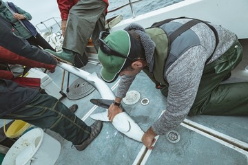 Group of fisherman trying to settle down shark fish