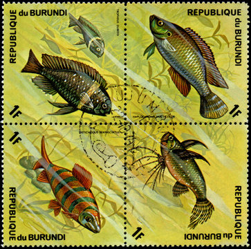 REPUBLIC OF BURUNDI - CIRCA 1974: stamps, printed in Burundi, shows a fishes: Haplochromis multicolor, Pantodon buchholzi, Distichodus sexfasciatus, Tropheus duboisi