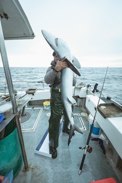Fisherman holding shark fish