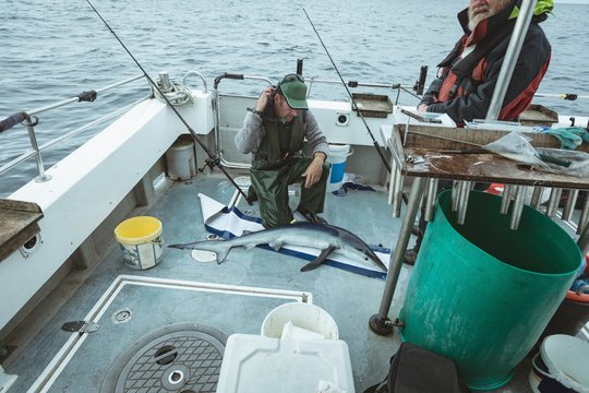 Fishermen measuring length of shark fish