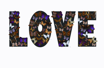 Dark color word "Love" made of various colorful butterflies against white background