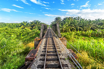Railway from Singapore to Bangkok in the jungle of  Malaysia.