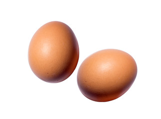 Egg On White Background