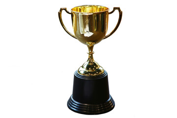 Trophy with white background,isolate picture,win concept.