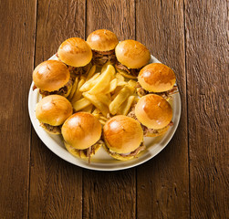 Pulled pork sandwiches with BBQ sauce and onion