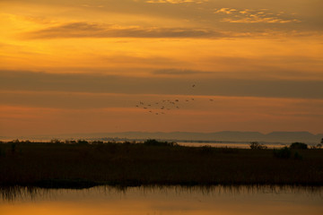 Landscape lake of sunrise and the birds fly on the clouds