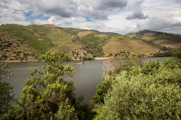 Beautiful scenery of the Portuguese countryside. The valley of the river Duero. Portugal.