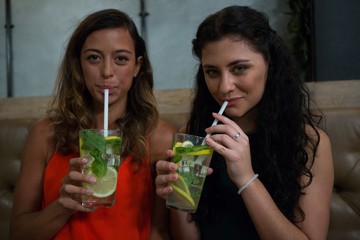 Portrait of happy friends drinking mocktail
