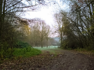 Naklejka premium Winterlandschaft