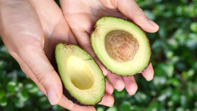 Hands Holding Avocado. Closeup. 4K. 