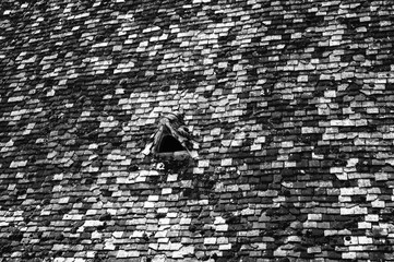 Patchwork de Tuiles - Photo Noir et Blanc - Dordogne 2015