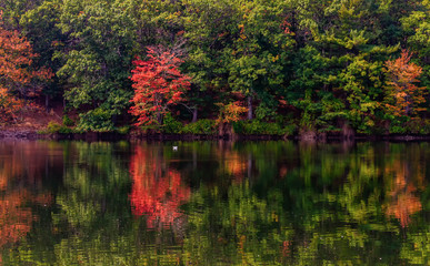 Early Fall in New England
