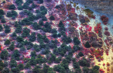 Great Utrish diverse vegetation reserve park Anapa Russia Krasnodar Territory