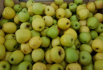 Fruits et légumes