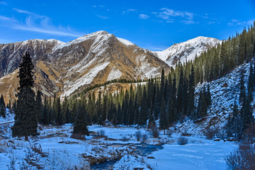 Fototapeta na wymiar Snowy mountain landscape with trees 