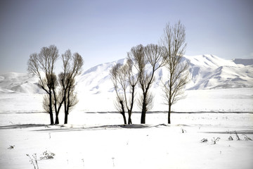A beautiful winter landscape in Turkey