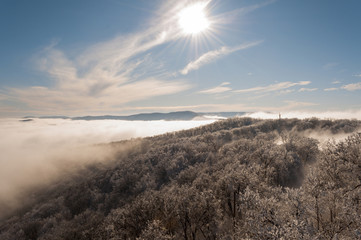 misty mountain winter day, beauty foggy forest landscape bright day