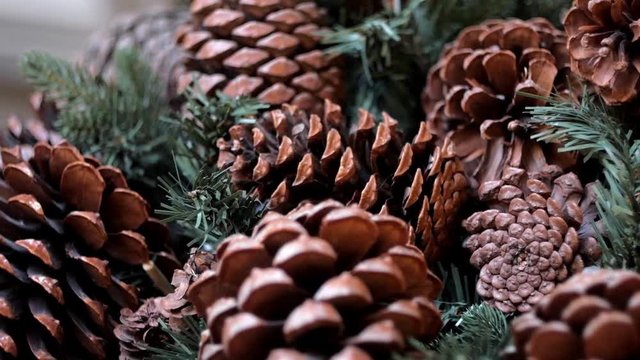 Big pine cones and fir tree branches as Christmas decoration. Panning, close up
