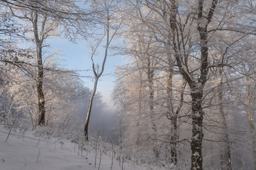 Fototapeta na wymiar blue bright light in winter frozen landscape, godly heaven light beam in nature