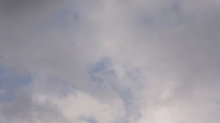 SONY DSC