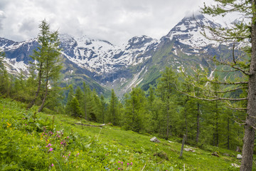 Fototapeta na wymiar Autriche/paysage avec montagnes enneigées