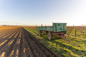 Obraz premium Letzte Ernte