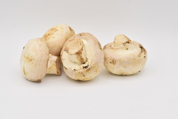 Whitecap Mushrooms on a White Background