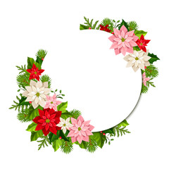 Vector Christmas card with fir branches, colorful poinsettia flowers and cones.