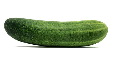 Cucumber