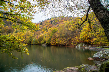 Le lac des Perches, dans le massif des Vosges, en Alsace