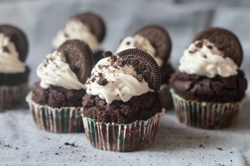 Chocolate Oreo cupcakes with whipped cream and cookie on blue-grey background.
