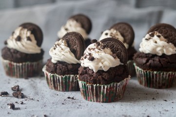 Chocolate Oreo cupcakes with whipped cream and cookie on blue-grey background.