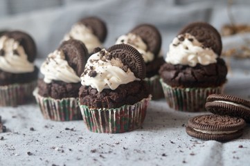 Chocolate Oreo cupcakes with whipped cream and cookie on blue-grey background.