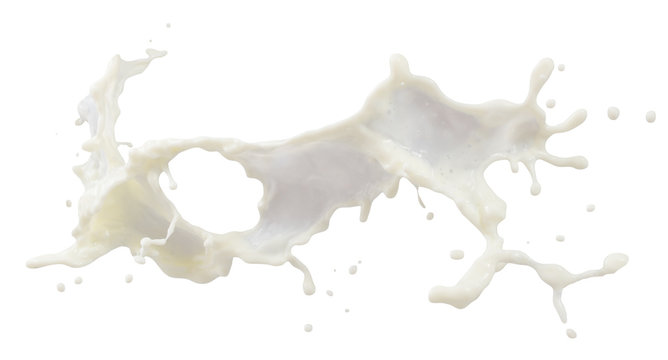 milk splash on a white background