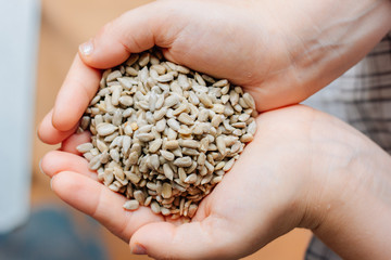 Woman hands holding sunflower seeds without shell.
