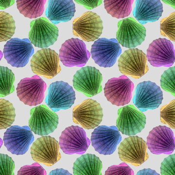 Seamless photo texture of sea shells