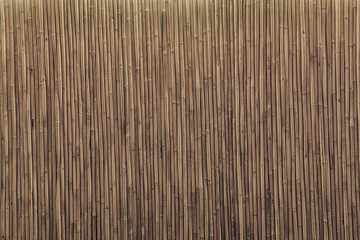 bamboo wall