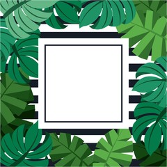 Fototapeta na wymiar exotic tropical jungle frame with palm tree monstera leaves and place for text stripes background vector illustration